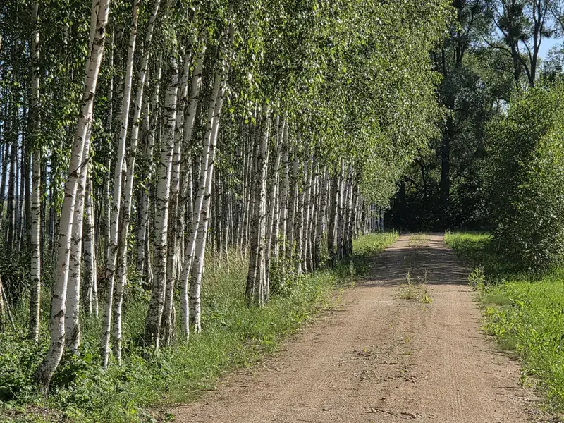 Zacisze na Podlasiu — siedlisko